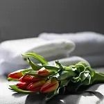 Ξενοδοχείο με διαμερίσματα 4wings 4*