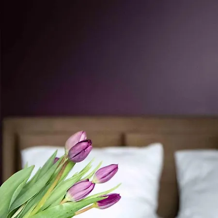 Apartmanhotel 4wings Krakkó