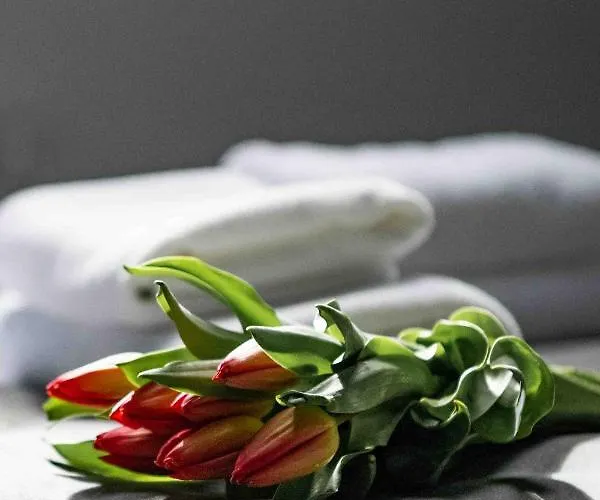 Apartmanhotel 4wings 4*